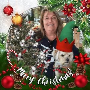 Meet your Posher, Dawn